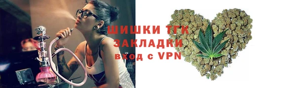 амф Новодвинск