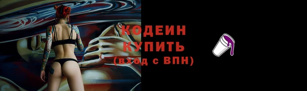 таблы Новозыбков