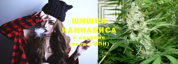 амф Новодвинск
