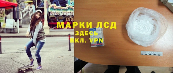 амф Новодвинск