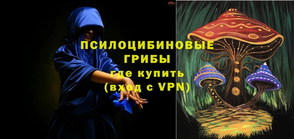 таблы Новозыбков